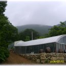 농원민박 이미지