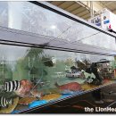 나의바다 이미지