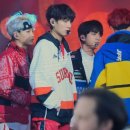 슈프림퍼피 이미지