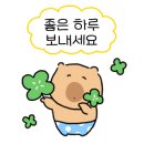 먹보닭갈비