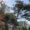 남산114공인중개사사무소 이미지