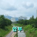 안부 이미지