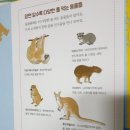 오물오물 이미지