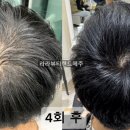 라라뷰티랜드제주