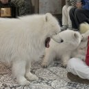 겨울이 머무는 집 이미지