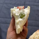 쇼페로니 | [대전 맛집] 페로니코 산도 평일 웨이팅 후기 / 미우새 대전 맛집투어