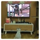 뚱자PC 이미지