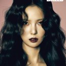 에이시엔코리아 이미지