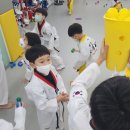 무지개태권도장 이미지