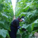 주식회사 이원 이미지