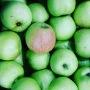 부봉농장 이미지