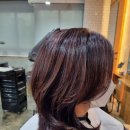 제이엔제이 이미지