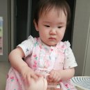 열리는어린이집 | 안전한 어린이집빨대컵 추천 토비앤몰리 원터치락 빨대컵 후기