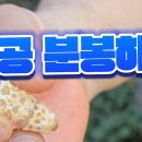 청해농원 이미지