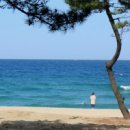 해송한옥민박 네이버블로그