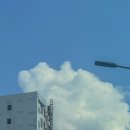 서울아가온여성의원 | 30대 중반 임신 준비 6개월 차 - 서울난임병원 구로 아가온 여성의원 진료 후기