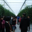 칠량농장 이미지