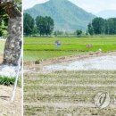 송림협동조합 이미지