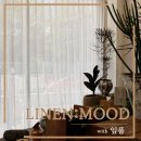 153숍 | 춘천 커튼 추천, 플랜테리어 감성을 더한 식물숍 쉬폰커튼 인테리어