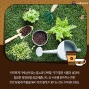 윤이커피 - 광진구 광나루로20가길 21 | 윤이커피