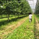 청송외갓집 이미지