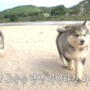 뭉치농장 이미지