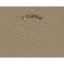 디카프리오 / Sexy girl (여자key Cm) mr 이미지