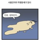 재벌국수 이미지