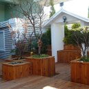 정원약품 이미지