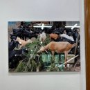 파주 문산 몸보신 맛집 <DMZ 부원 흑염소> 내돈내산 솔직후기