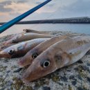 뽕똘하우스 이미지