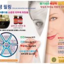 다미셀코스메틱