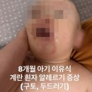 담담동물약국 | 8개월 아기 이유식 계란 흰자 알레르기 증상 | 구토, 두드러기