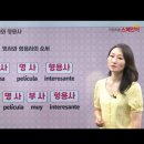 기초 필수 스페인어 단어공부 | [시원스쿨 스페인어 후기] 열공 챌린지 64기 4월 2주차