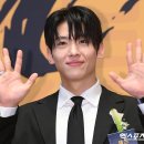 덱스 이미지
