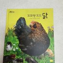 꼬 닭 이미지