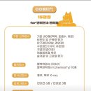 베이직병원 | 호호동물병원 고양이 건강검진 베이직 내돈내산 후기