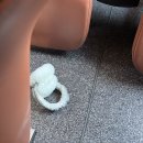 무코 이미지