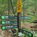 과천 청계산 매봉(582m) 2 이미지