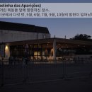 성순남 이미지