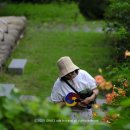 만연사 부도군 이미지