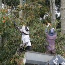 인규농장 이미지