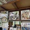 동산반찬 | <해남 땅끝마을 맛집> 나폴리맛피아도 찾아간 '바다동산' 내돈내산 솔직후기