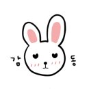 동이보쌈