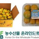 법인감귤