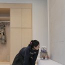 수카스테이