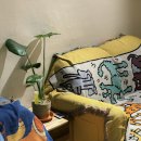 아늑한공간 이미지