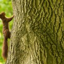 제일연세안과의원 이미지