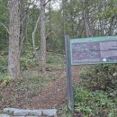 #금남호남정맥1차#영취산#장안산#백운산#사두산