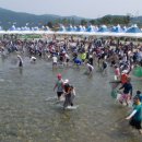 오십천둔치 이미지